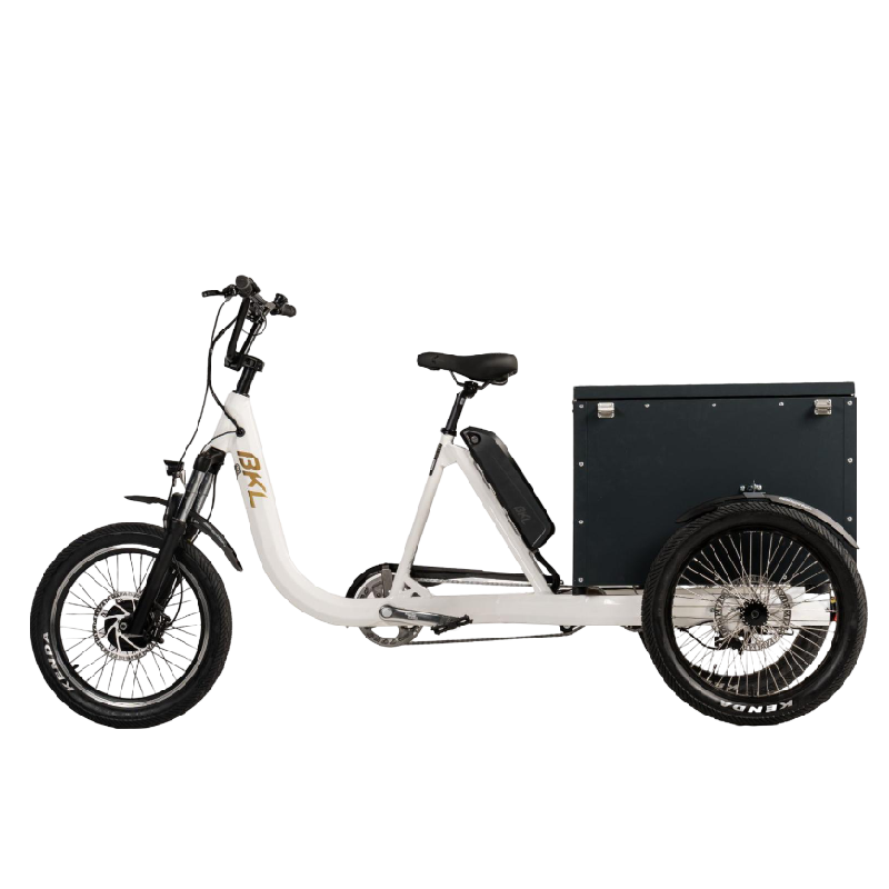 Inquieto - triciclos electricos para reparto - 9